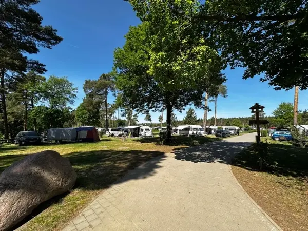 Moderner Campingplatz mit Wohnmobilen, Zelten und Autos in naturnaher Waldumgebung.