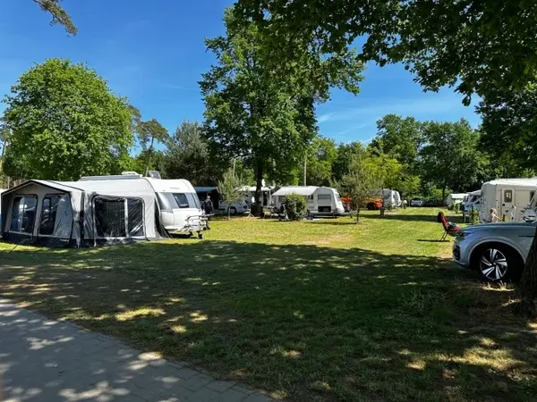 Campingplatz mit mehreren Wohnwagen und Autos unter schattigen Bäumen bei Sonnenschein.