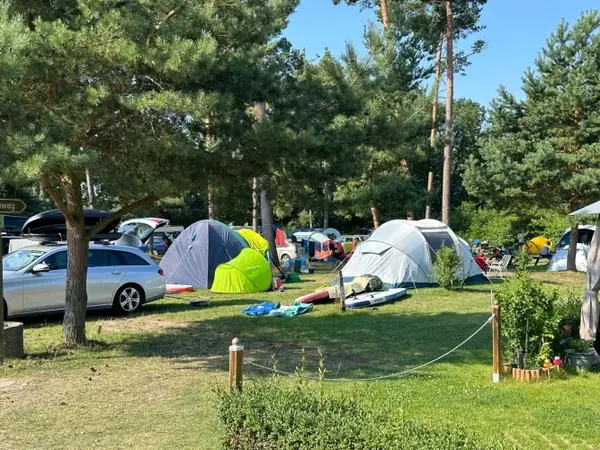 Campingplatz mit mehreren Zelten, Autos und Bäumen an einem sonnigen Sommertag.